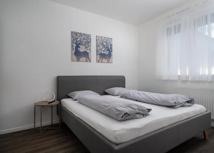 Bauer Downtown Apartament *